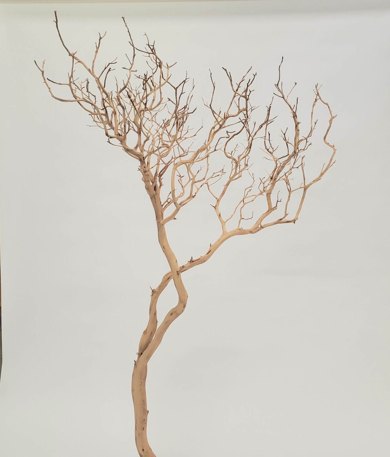 Sandblasted Manzanita / Home Decor / Event Decor / Wedding / Reptiles / Floral