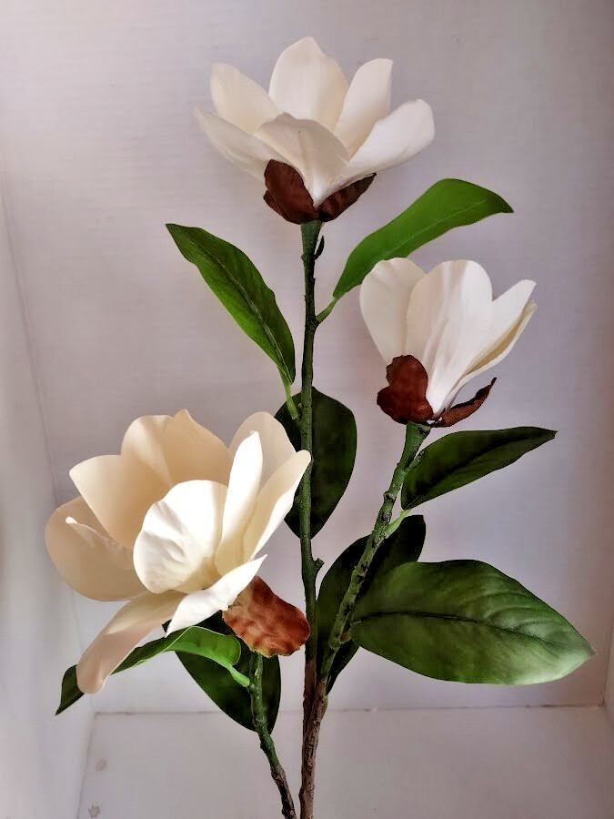 Magnolia stem bush CREAM