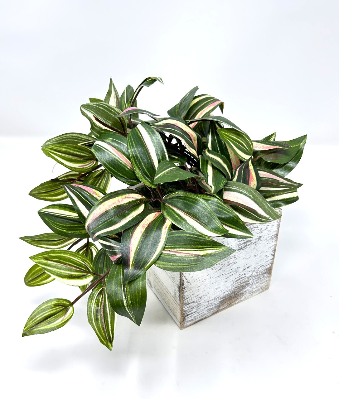 8″ Potted faux silk Green-Pink-White Jew TRADESCANTIA Vine INCH plant in White w