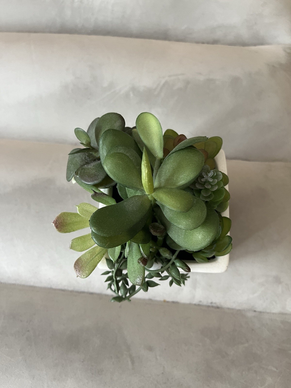 Target Artificial Succulent Arrangement, Green/White in White Ceramic Planter