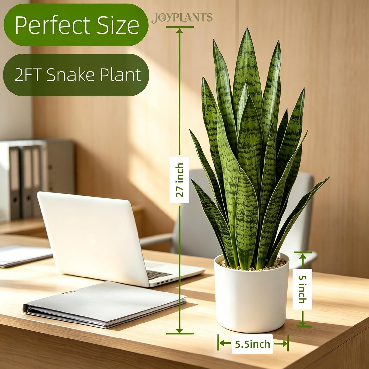 Fake Snake Plant, 27in Artificial Plant with White Pot Realistic Leaves, Low