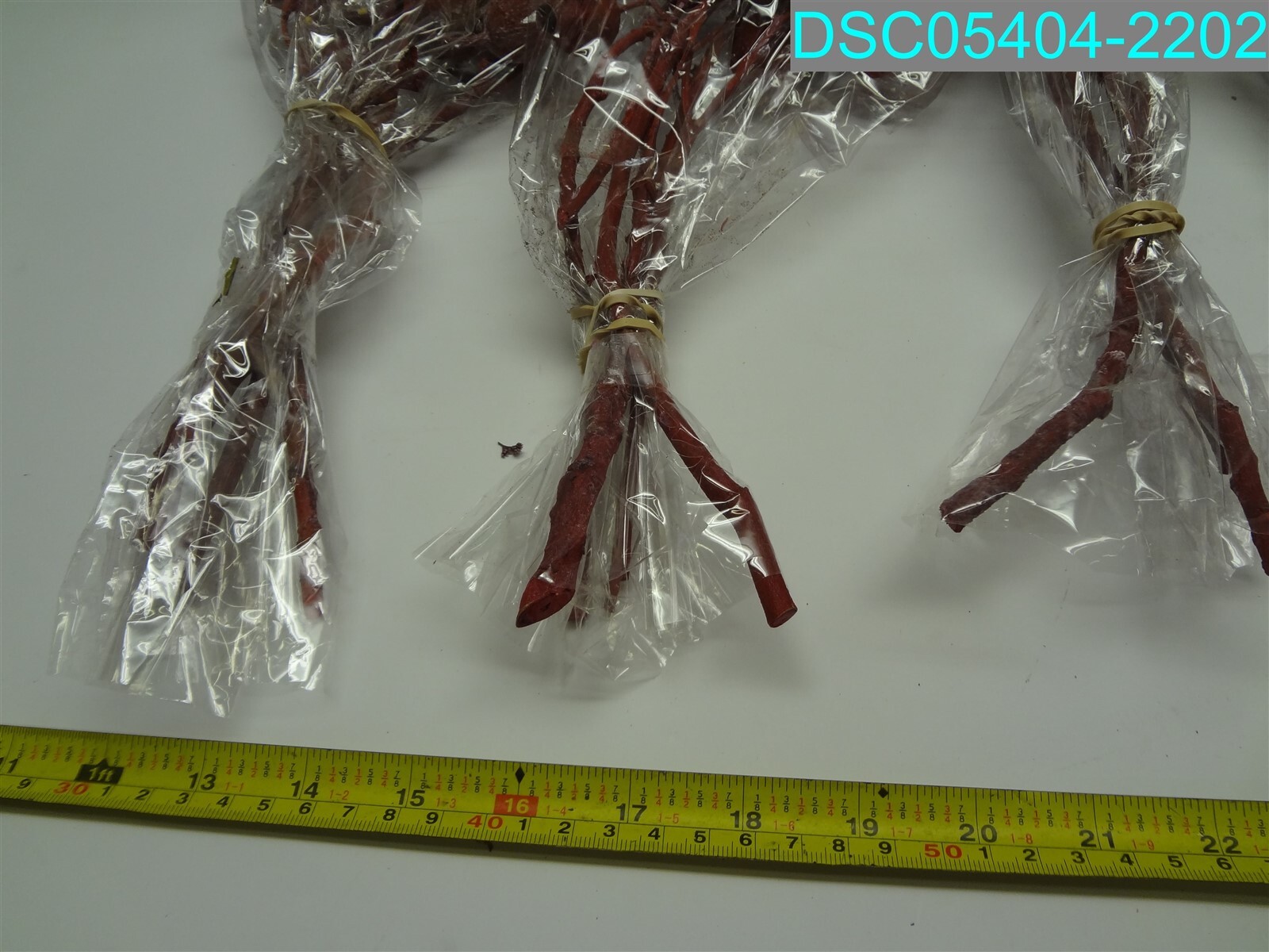 QTY=5: 00479 Bell Gum Branch FROSTED RED 012979274405