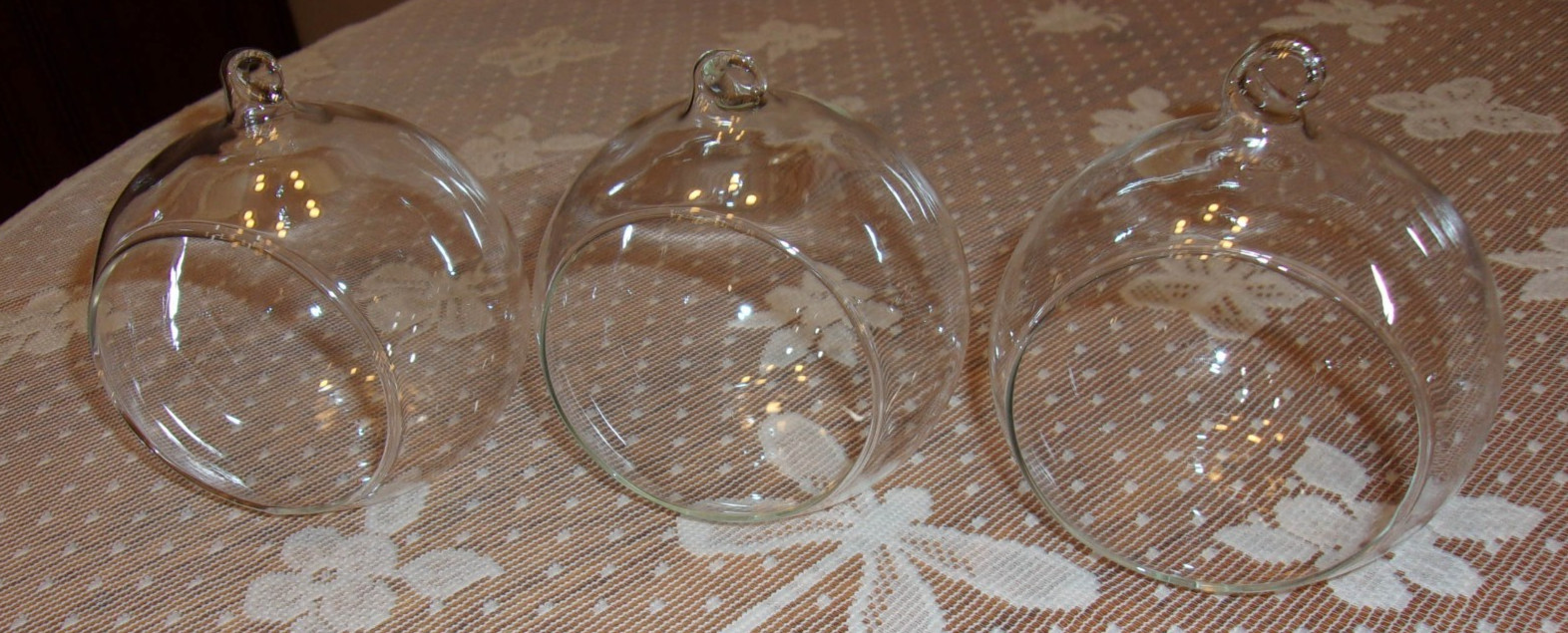 Set of 3 Succulent/Air Plant Bulbs Hanging Decor- Clear- DIY