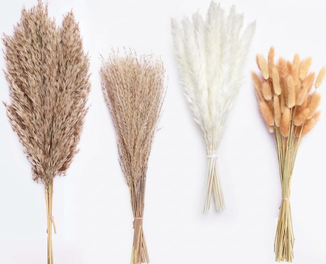 100 Stems Dried Pampas Grass, Boho Table Decor Natural Reed Phragmites Grass,…