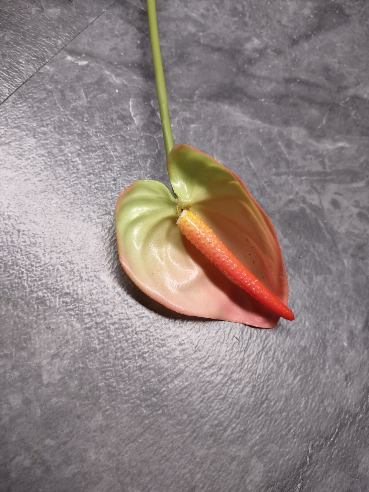 25″ MinI Anthurium stem cream/pink. Tropical stems Hawaiian flowers .