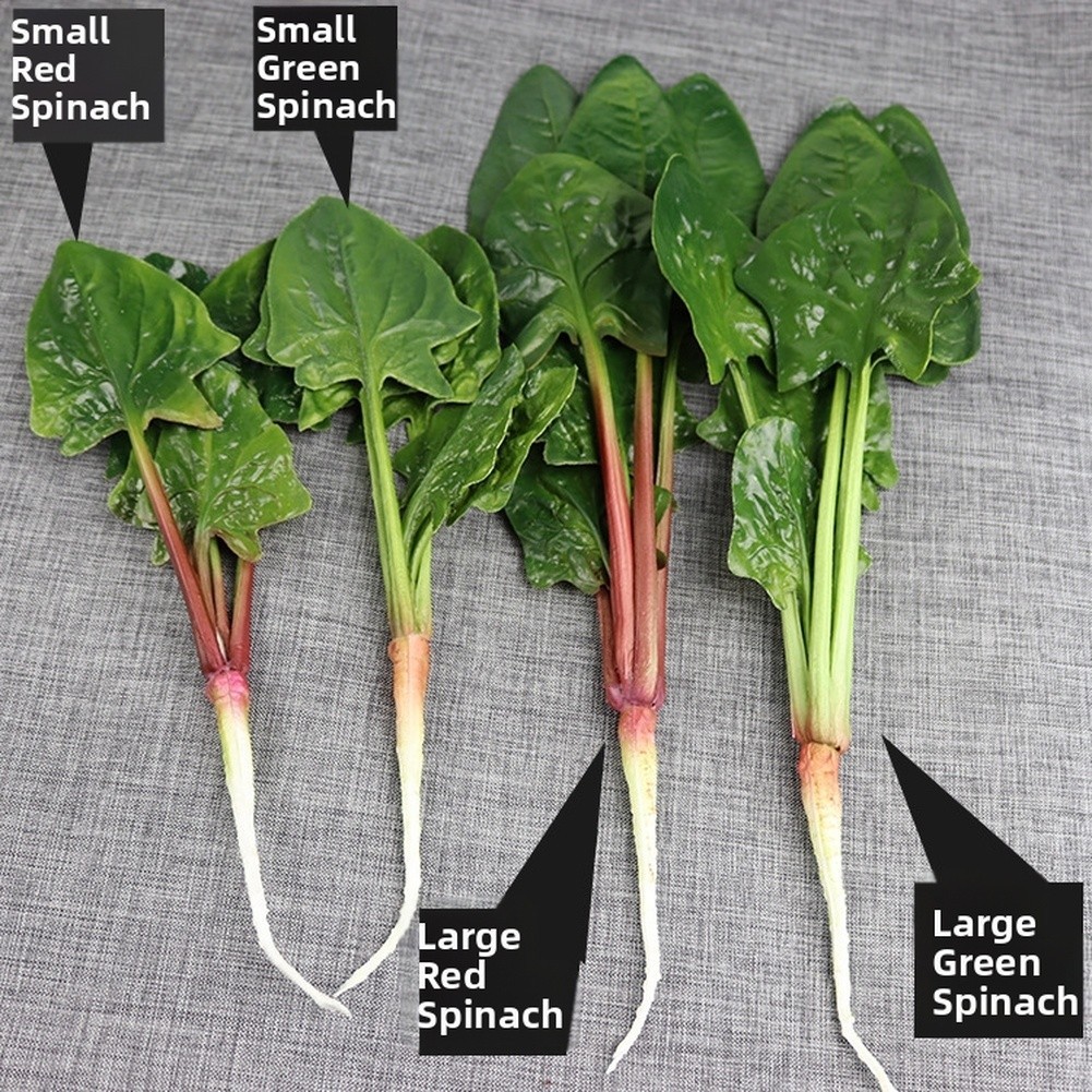 Decorative Spinach Piece for Spring Summer Fall Winter Interior Accents