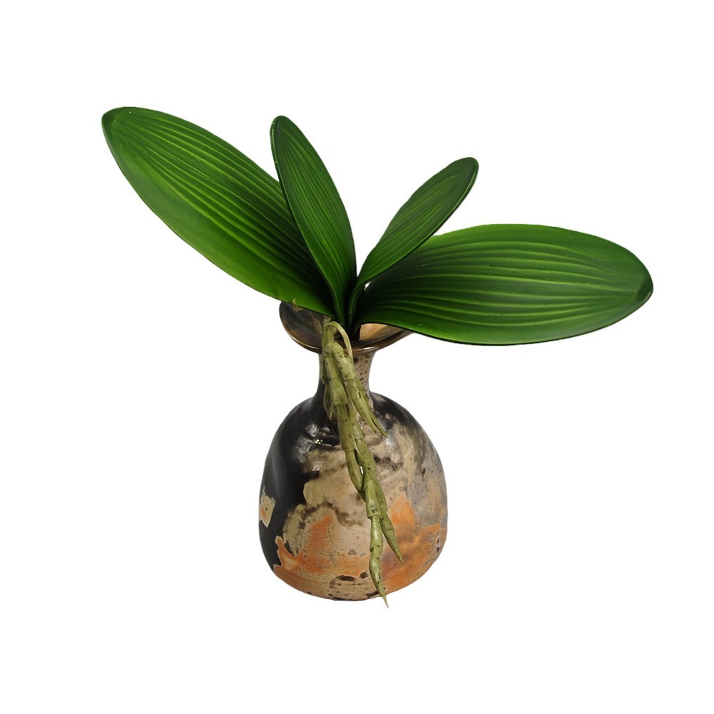 2pcs Simulated Phalaenopsis Orchid Leaves (PU Phalaenopsis Orchid Leaves)
