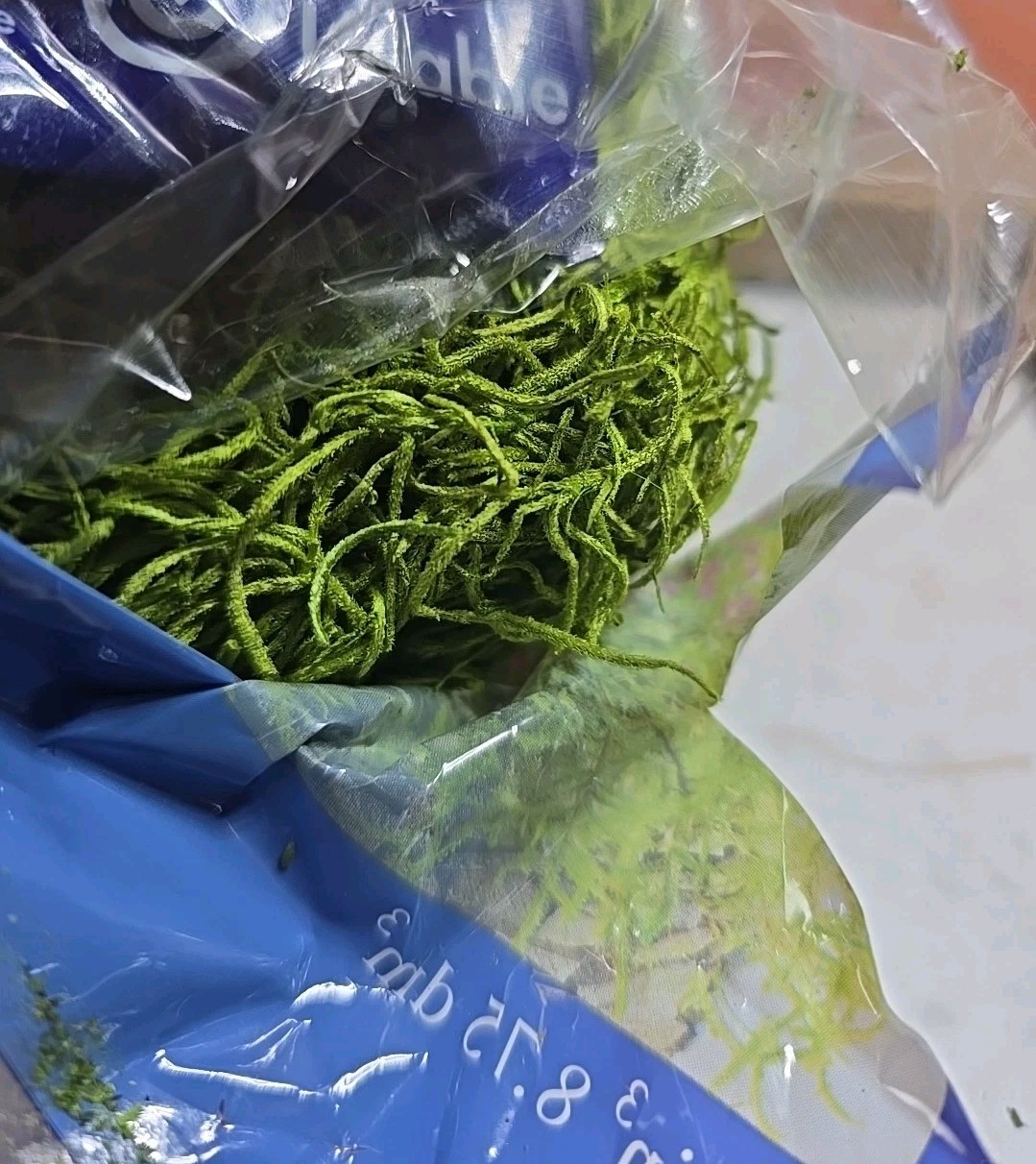 SuperMoss Forest Fresh Decorative Moss for Potted Plants, Natural Green, .534in*