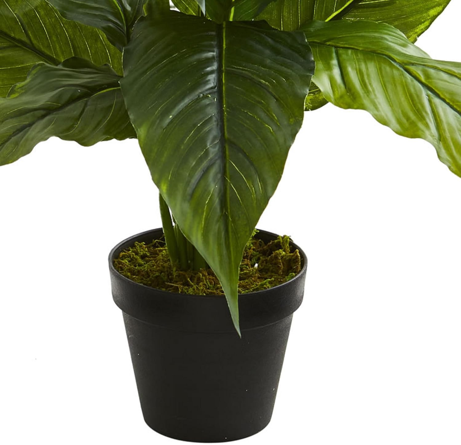 42″ & 26″ Spathiphyllum Artificial Silk Plants – Lush Green Decor