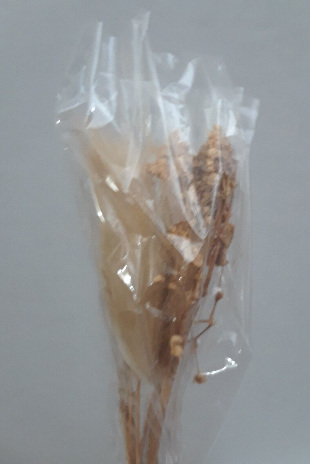 Dry Flower Decor Dried Flower Decor Bouquet Reusable Dried Floral Lot of 20