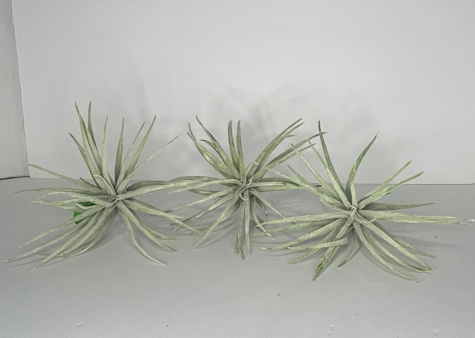 Ashland Green Tillandsia Artificial Succulent Picks Lot 3 – OG