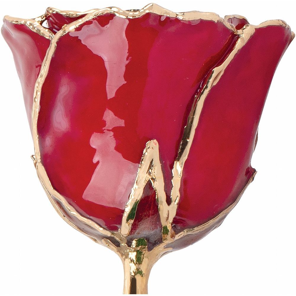 24k Gold Dipped Ruby Colored Lacquer Real Rose Valentine’s Day Holiday Gift