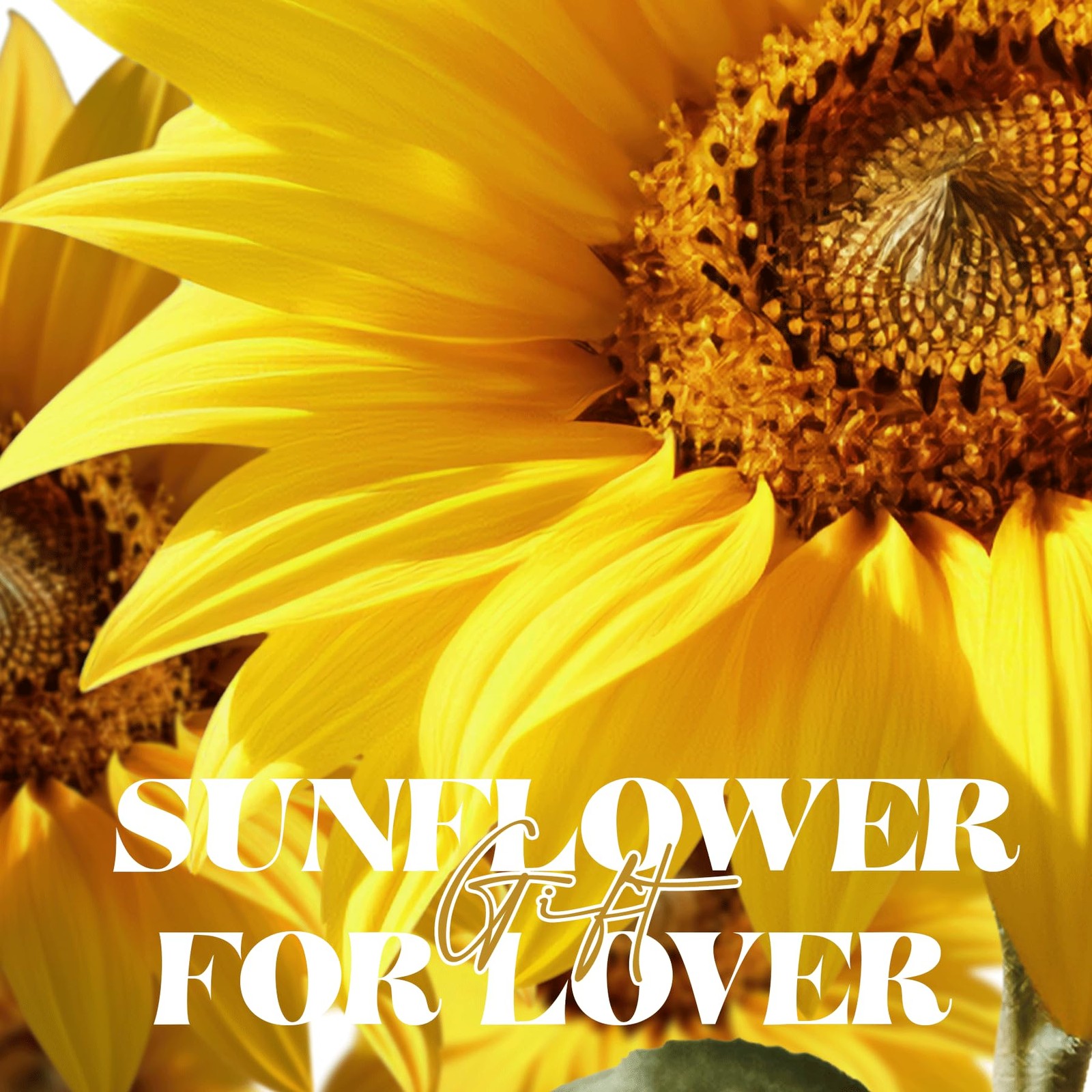Mothers Day Sunflower Gifts for Mom Gift for , Glass Dome Preserved Eternal F…