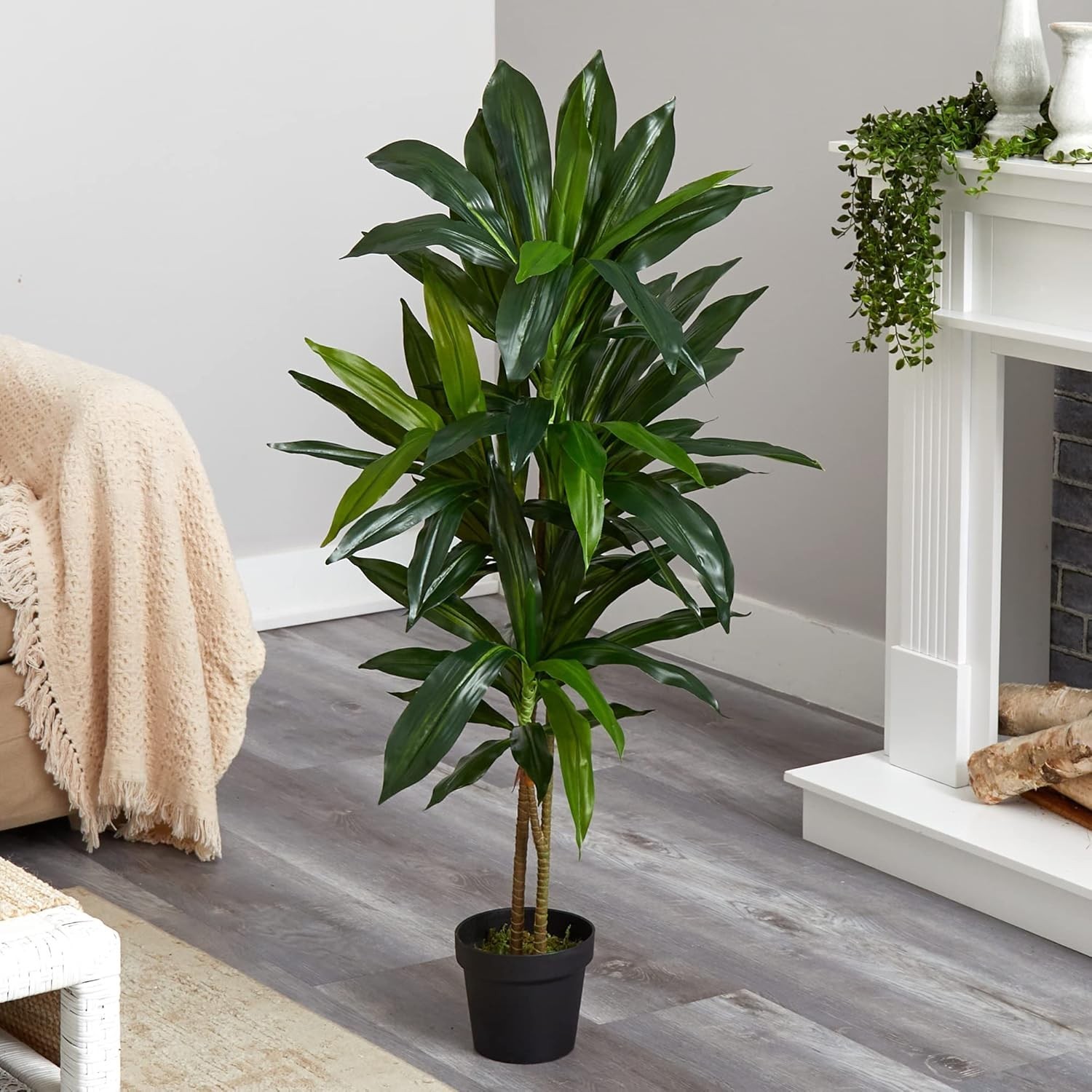 Lifelike 48in Dracaena Silk Plant for Elegant Home Decor – Bendable Branches