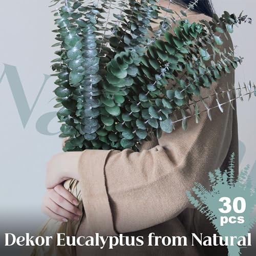 30Pcs Dried Eucalyptus Stems – 17″ Real Preserved Plant for 30PCS