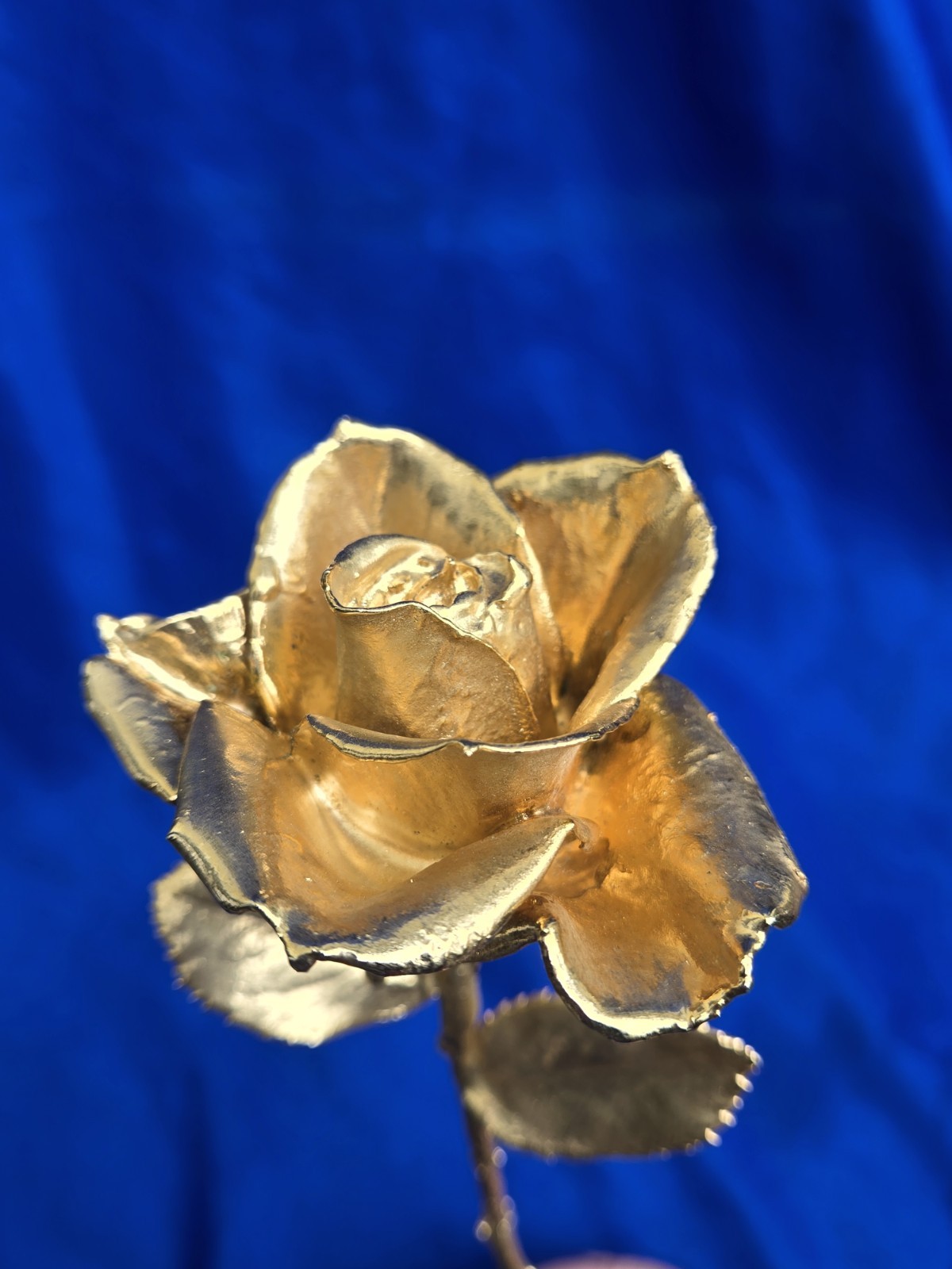 Gorgeous Gold Dipped Rose Semi Open Bud 11″
