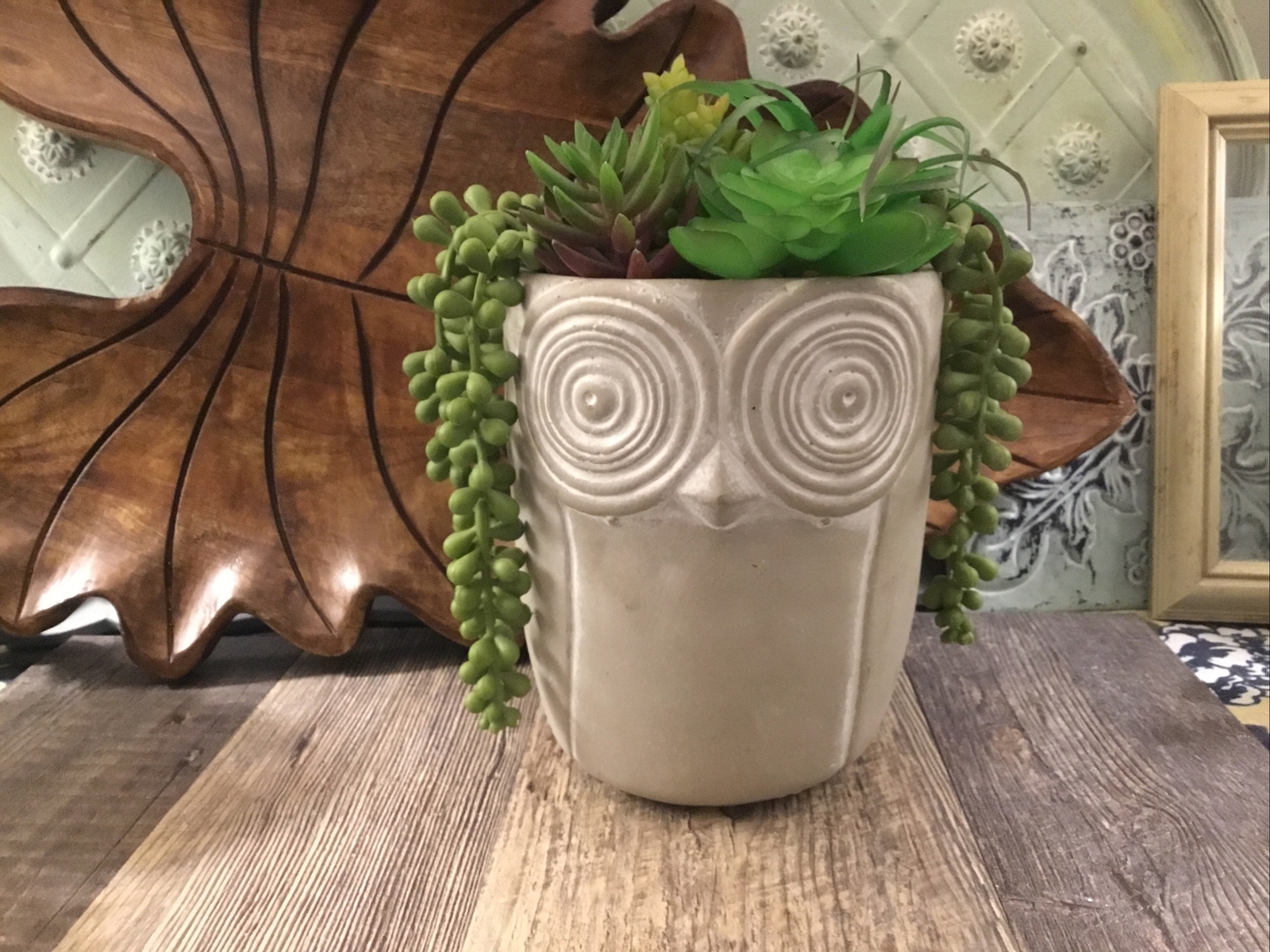 Owl large pot with faux succulents 6 1/2” High Bohemian Mod Owl Lovers Gift
