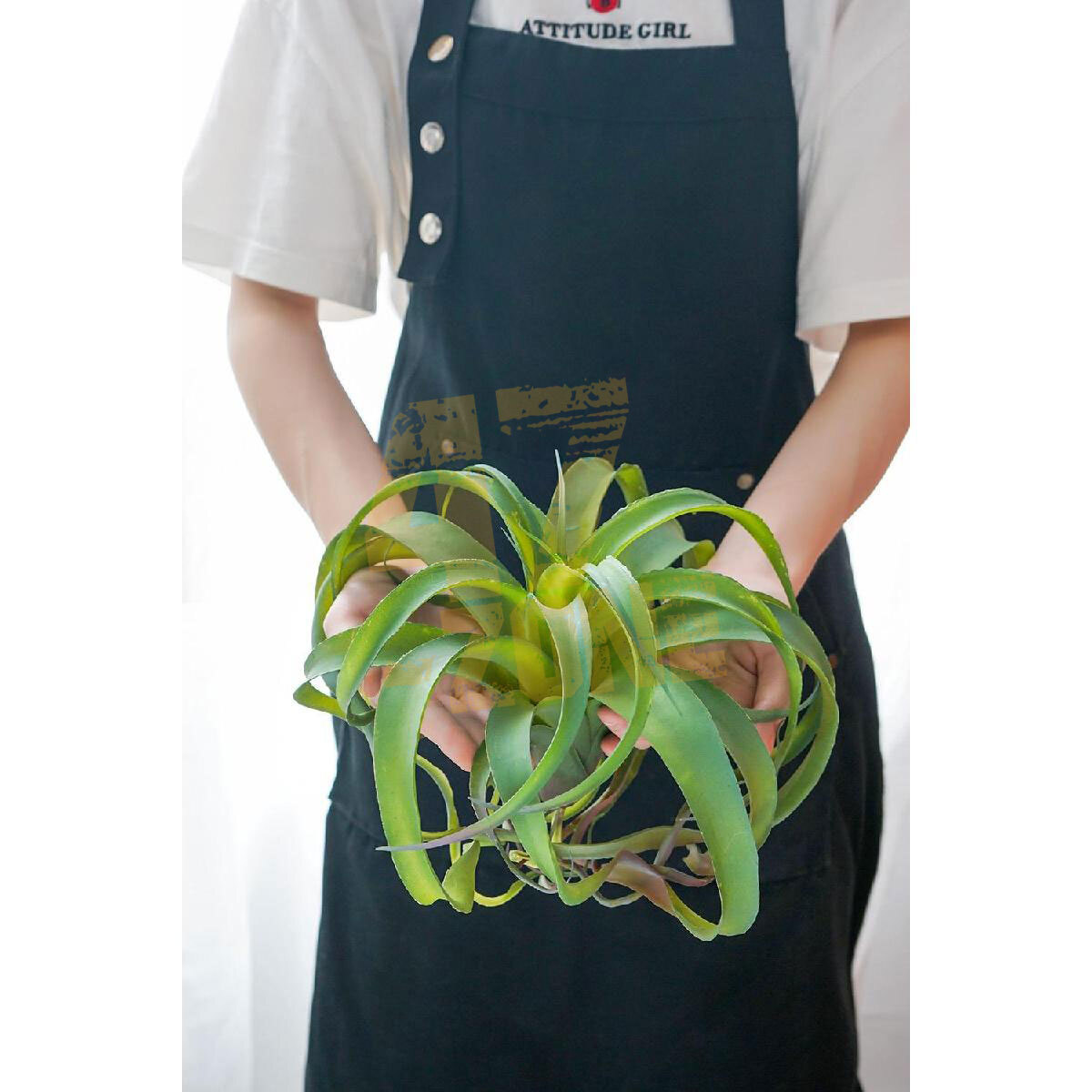 Faux Filler Green Spider Plant Stem Light Green Botanical Indoor Outdoor Garden
