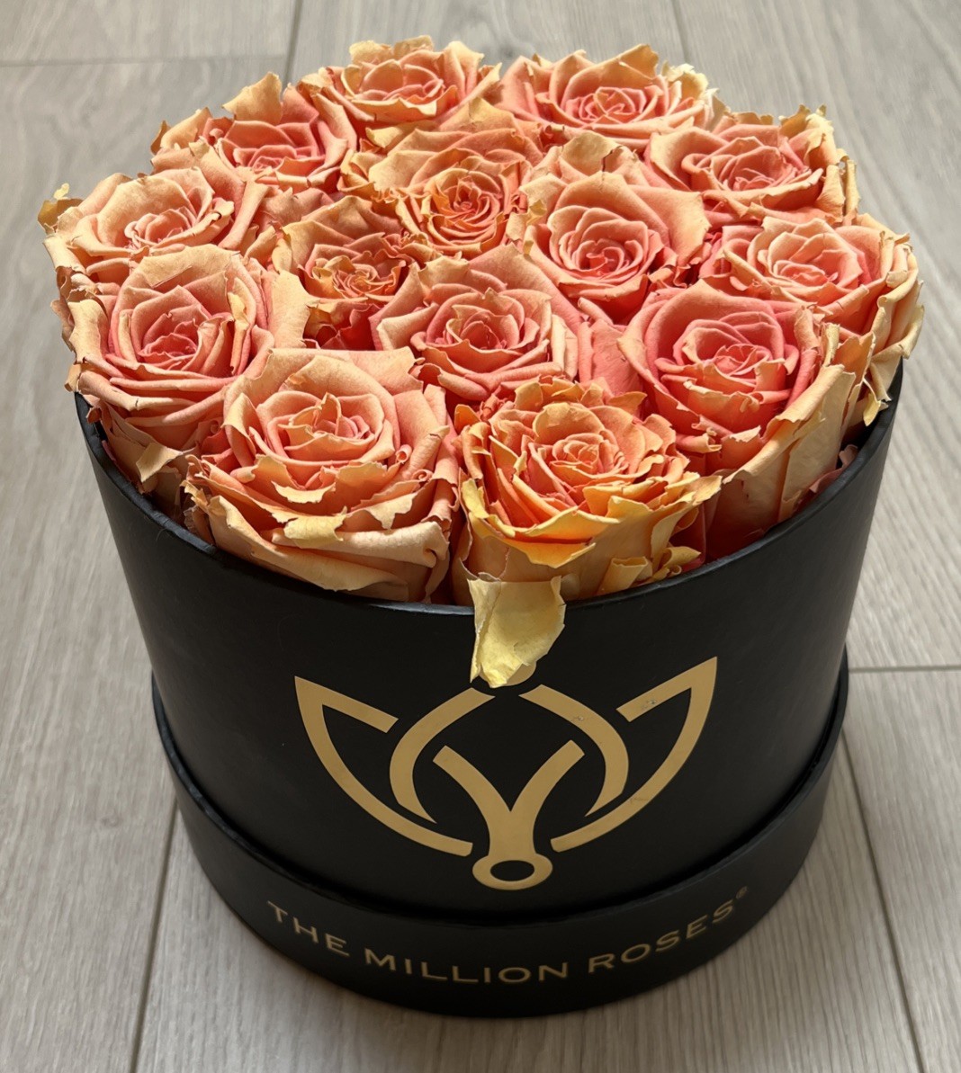 The Million roses, Peach Rose – Black Box. Retail $389 LONG-LASTING FLOWERS
