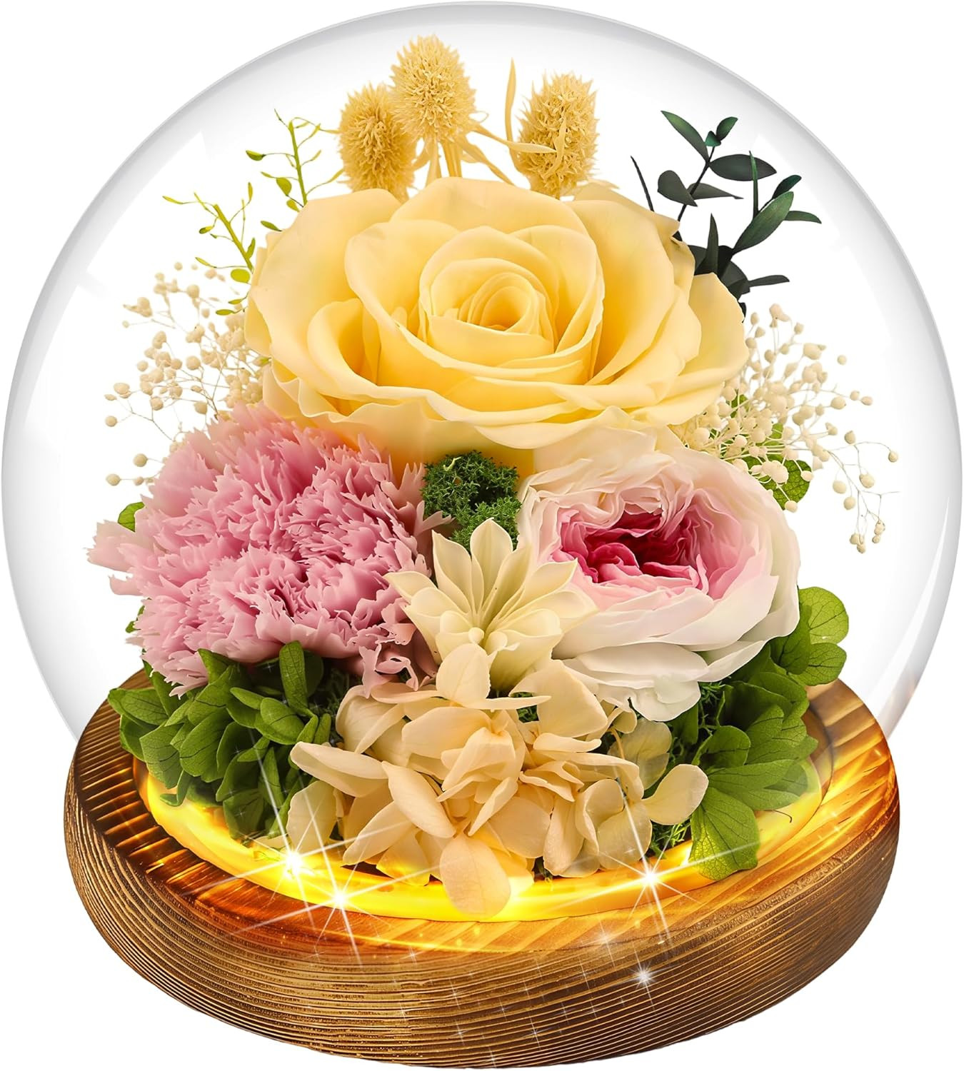 Birthday Gifts for Women Preserved Red Real Rose Flowers in Glass Dome, Forever