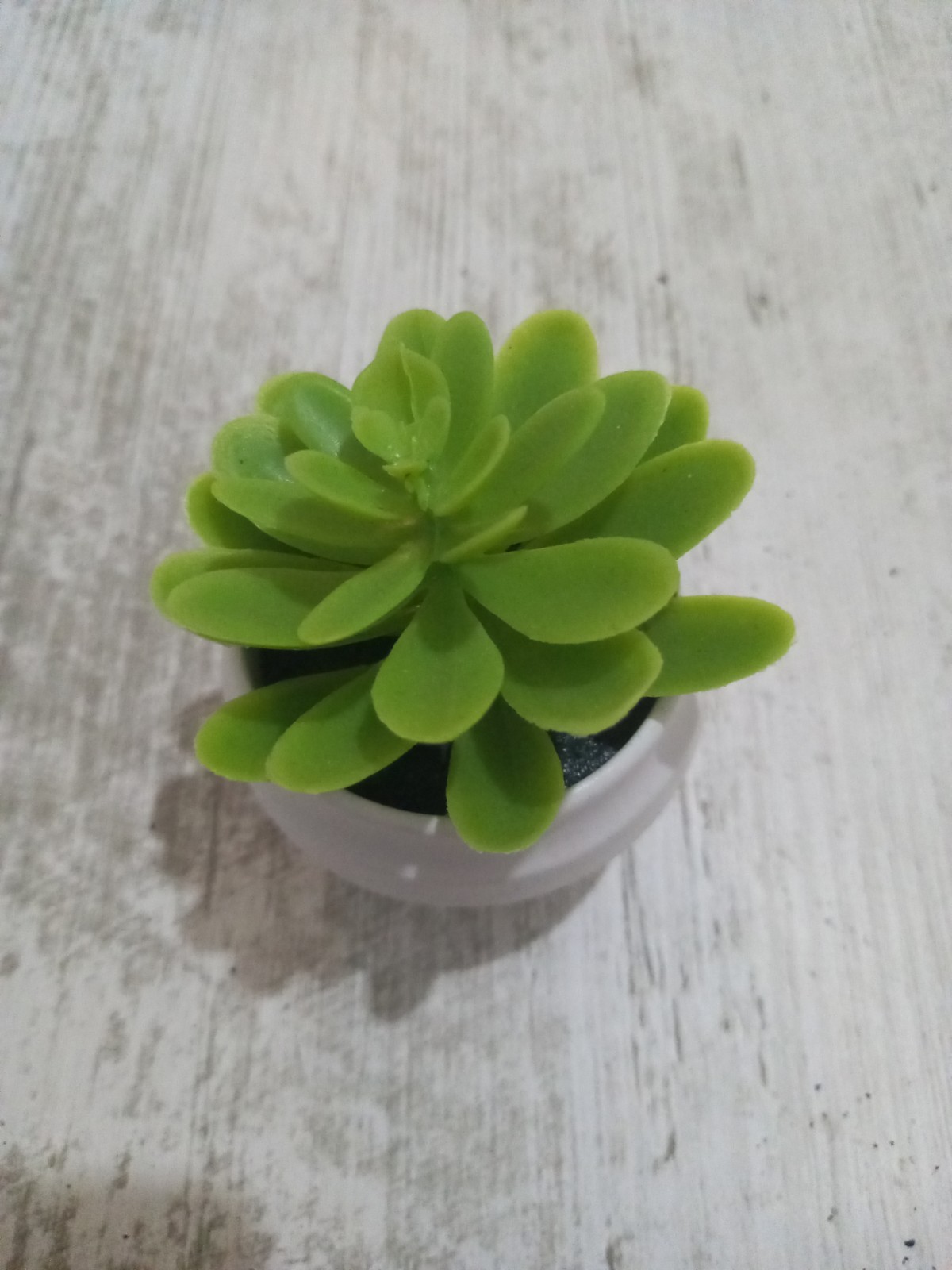 Artificial succulent plant for decoration