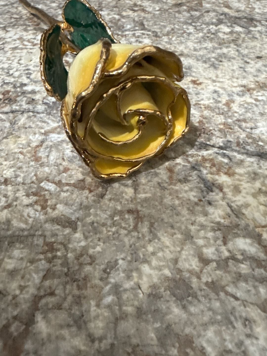 24K Gold Dipped Cream and Yellow Lacquered Real Long Stem Rose