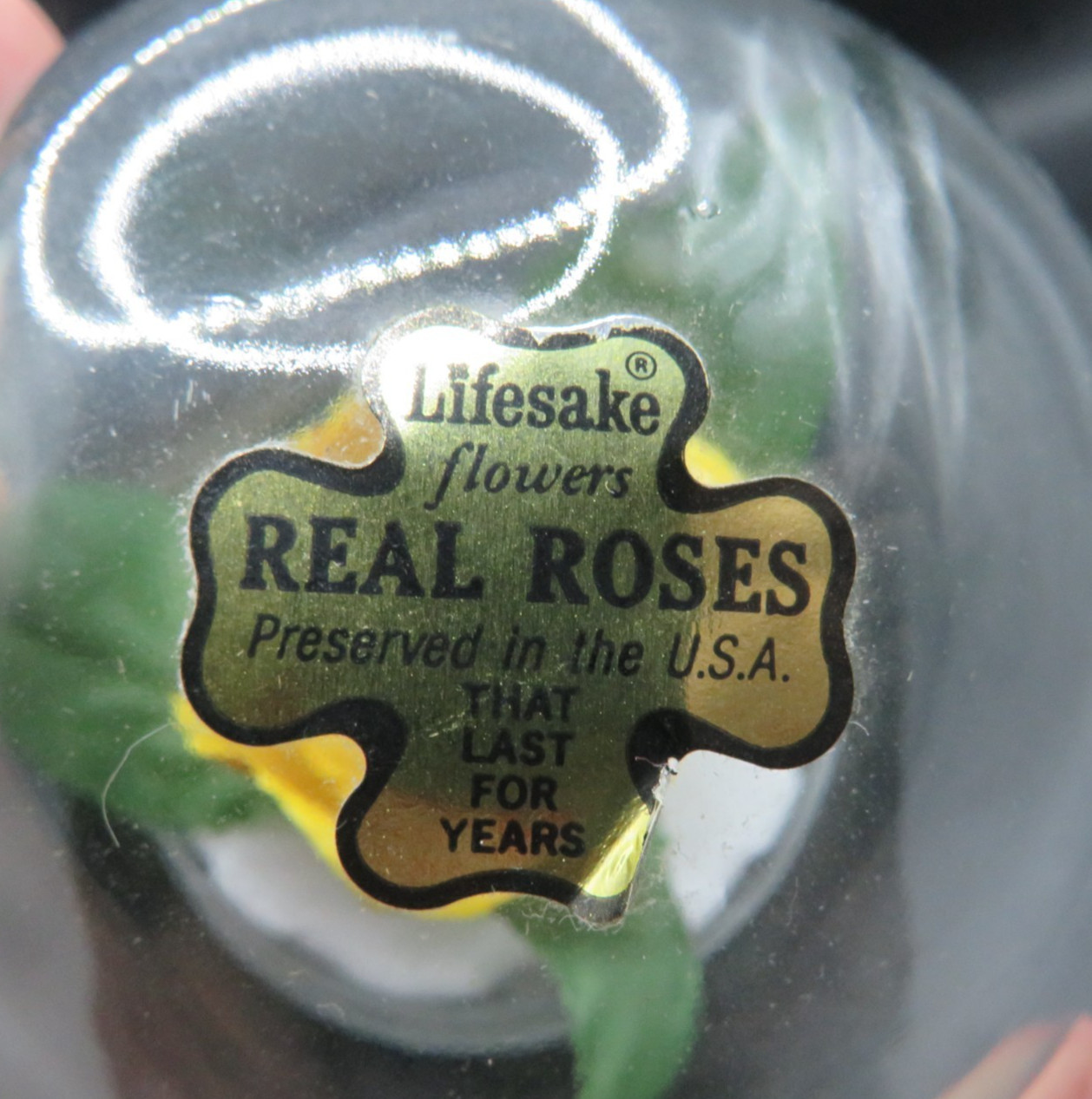 Lifesake Flowers REAL ROSES Yellow Rose In a clear globe on a back base.