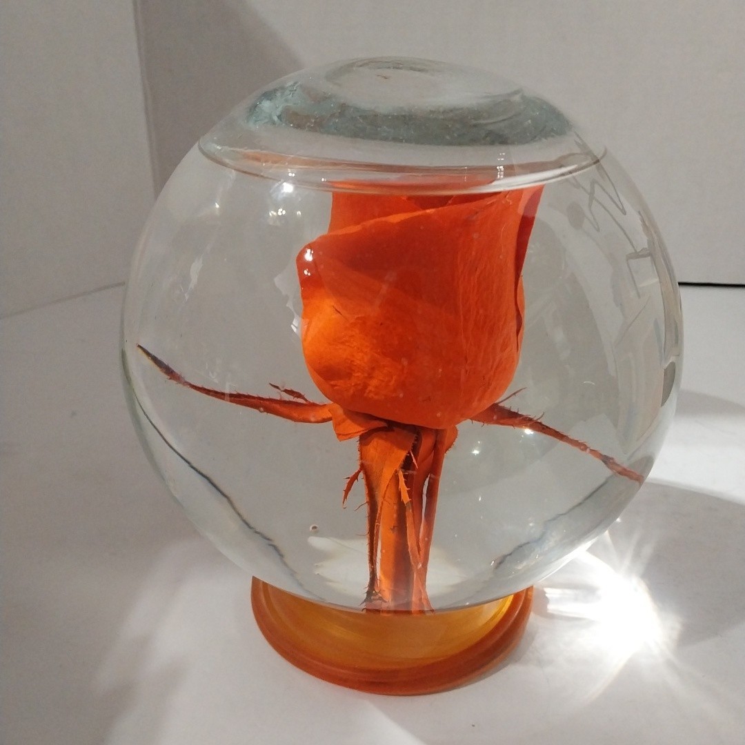 Forever ROSE Preserved In Glass Ball Water Dome Globe Large Real Rose 6×6 in.