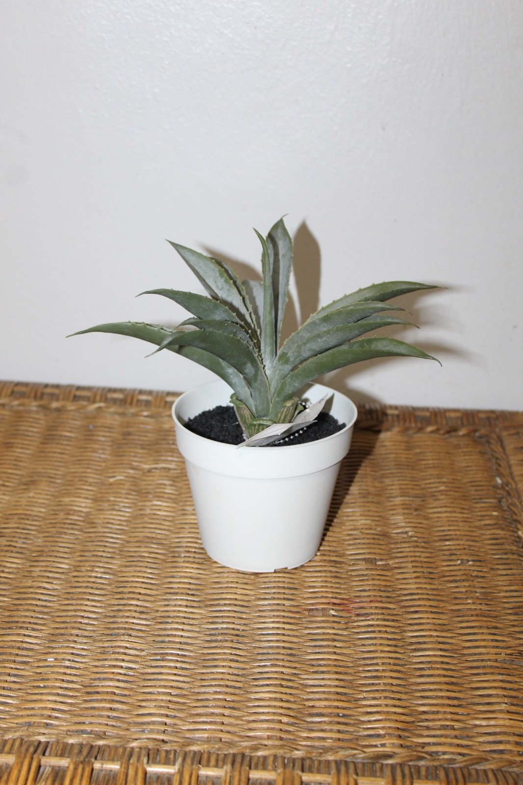 Williams Sonoma Artificial Potted Aloe.