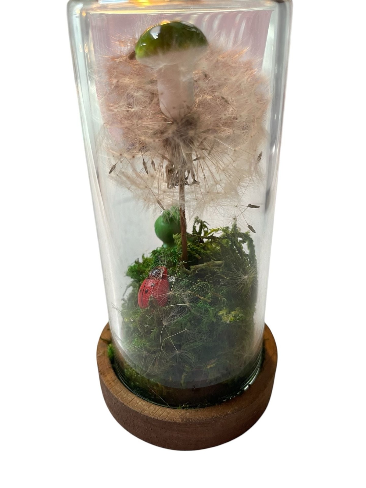 Preserved Dandelion and Mushroom Glass Dome Terrarium with Frog and Ladybug