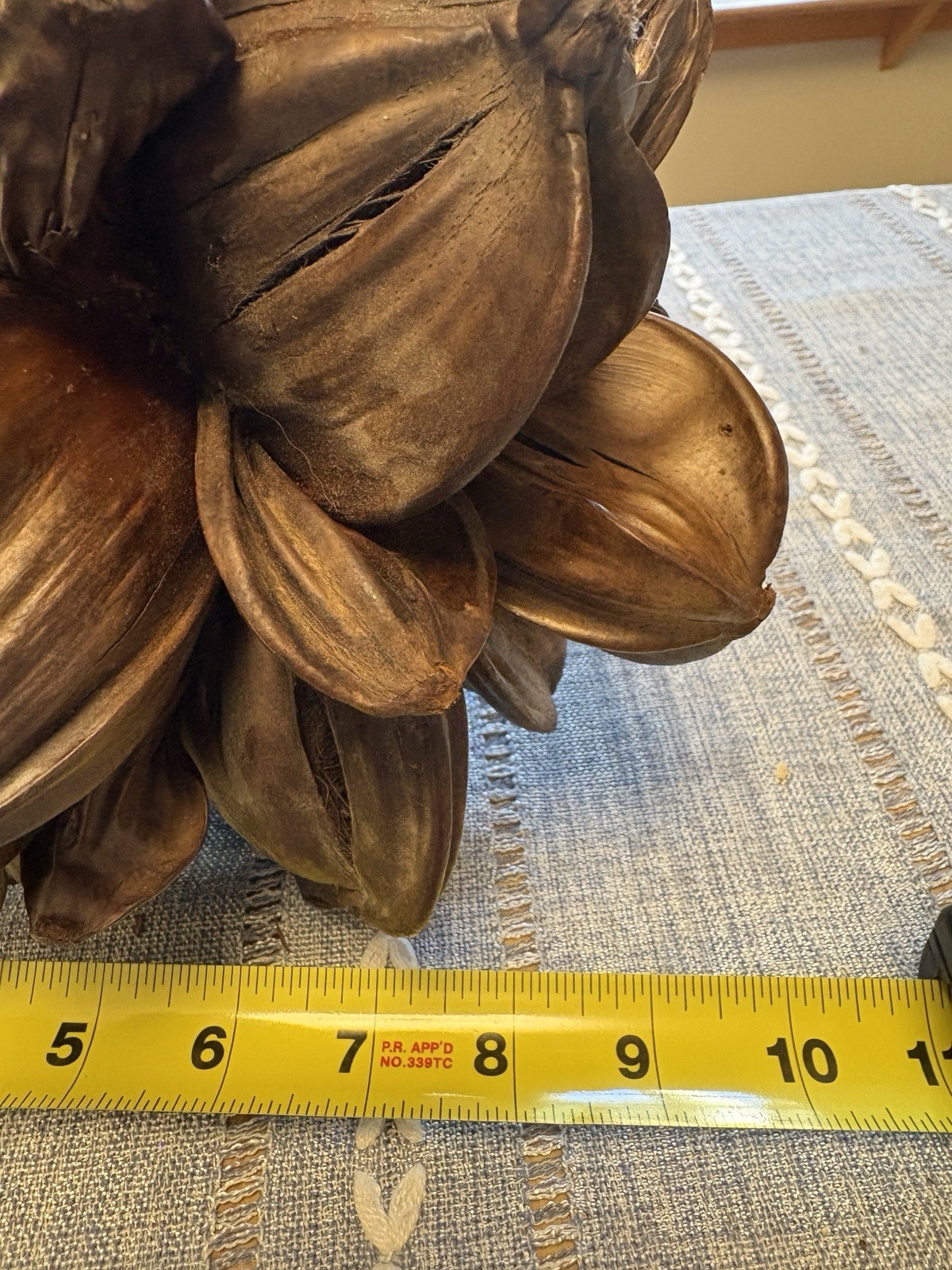 Vietnamese Water Coconut Nipa Palm Fruit Cluster Seed Pod Nypa Fruticans