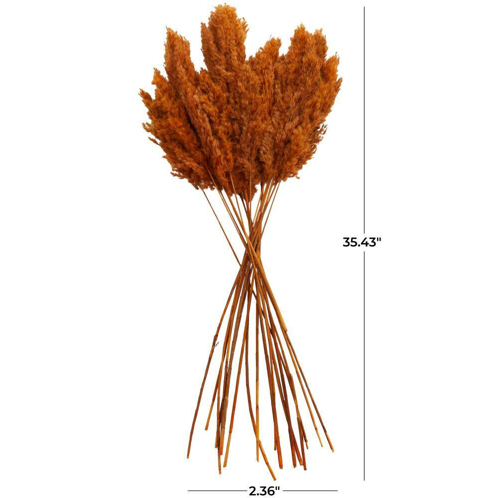35 In. Pampas Natural Foliage with Long Stems (1 Bundle)