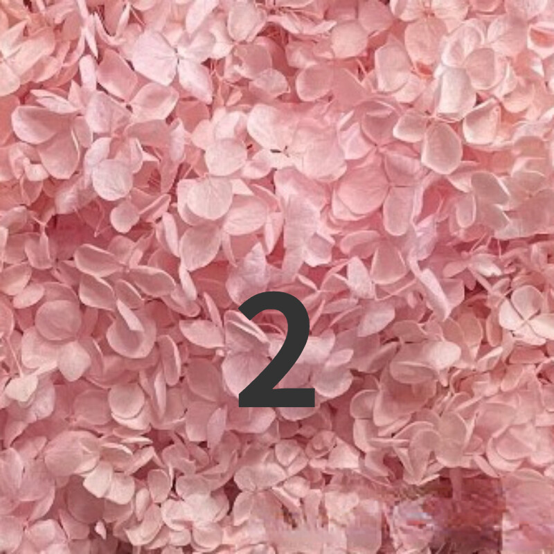 50g Bulk Dried Artificial Flowers for Gift Photograph Props Party Wedding Decor