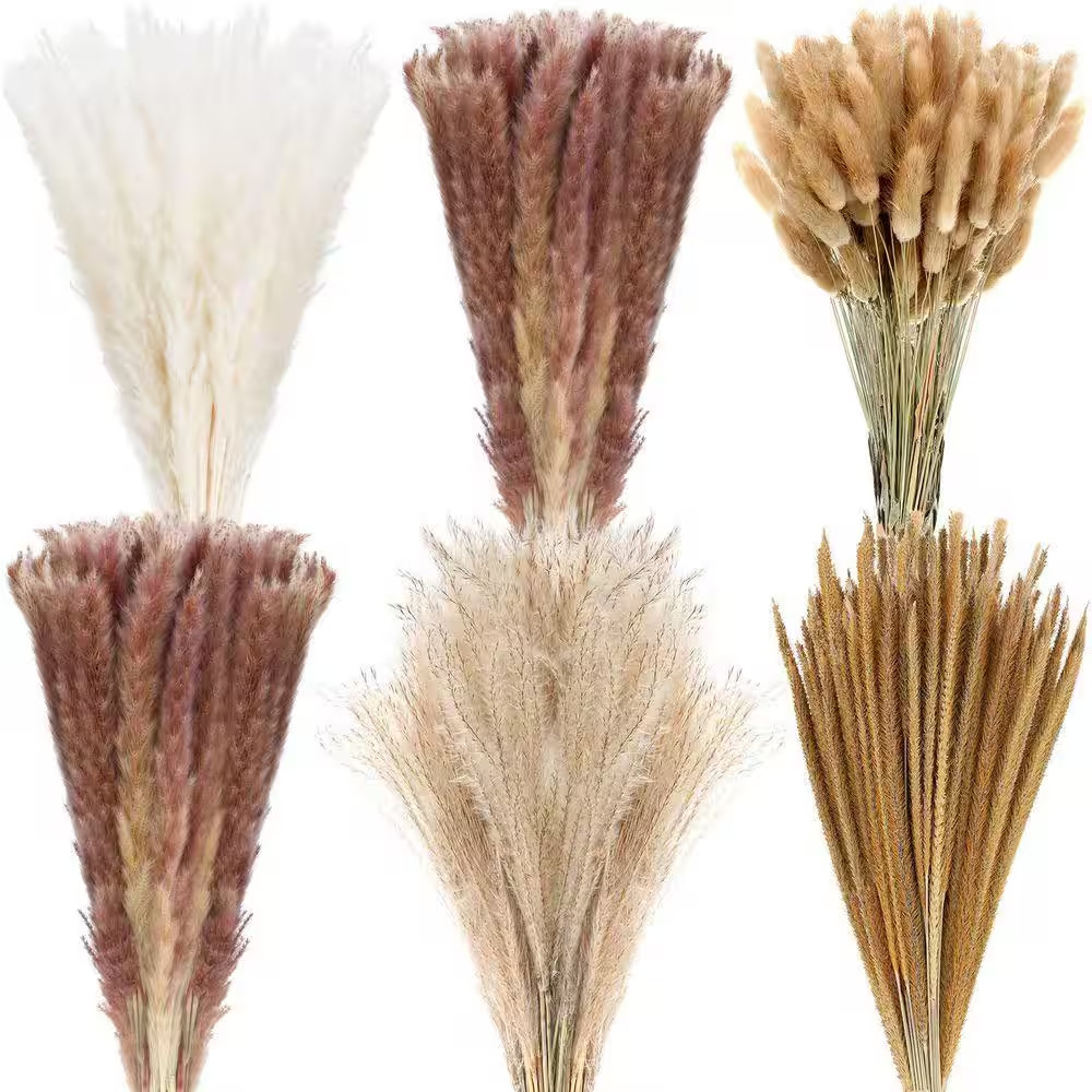 17 in Dried Pampas Grass Decor, Dried Flower Plants Bulk White and Brown Pampas
