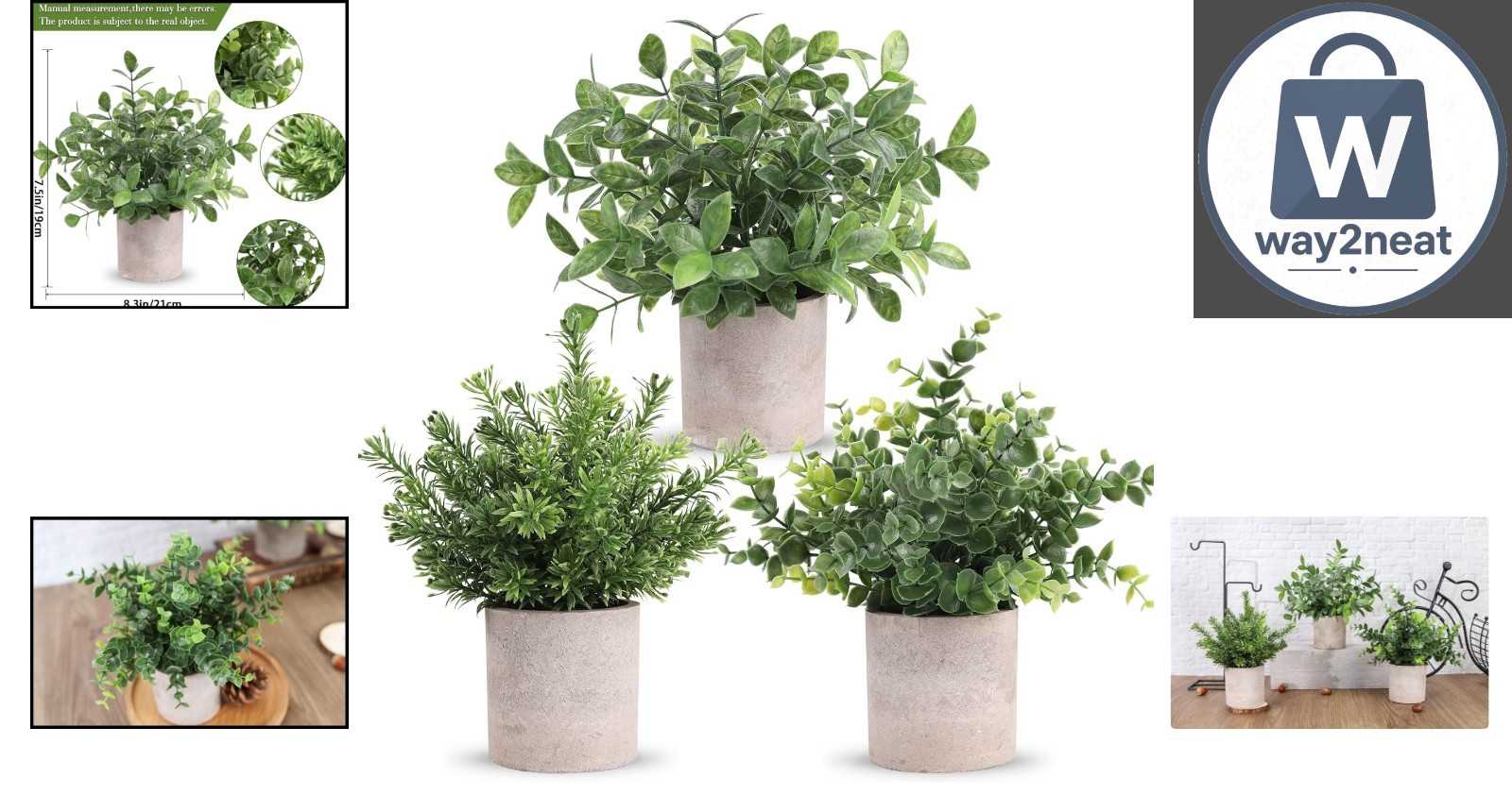 3 Pack Mini Potted Eucalyptus Plants – Lifelike Greenery for Home & Office