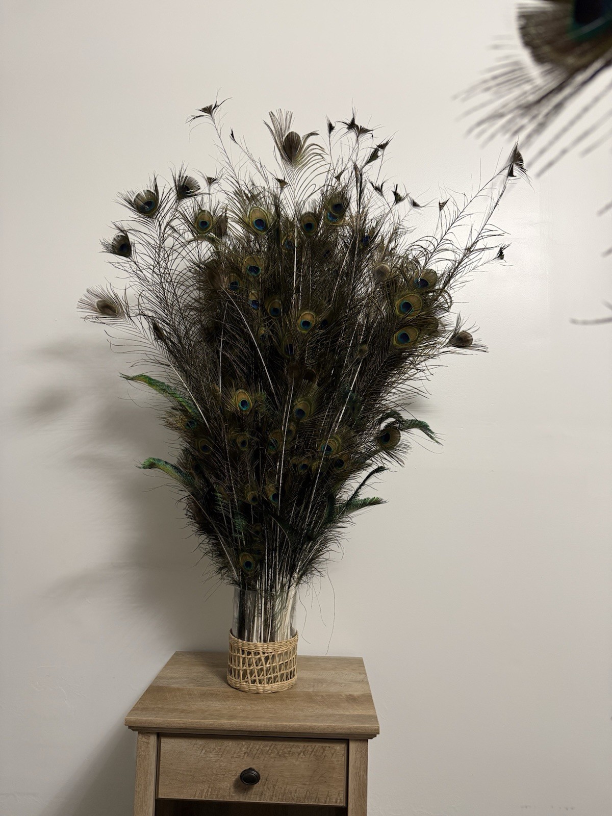 Peacock Feather Fresh Feather Bunch Vase Filler Floral Stem Green Brown
