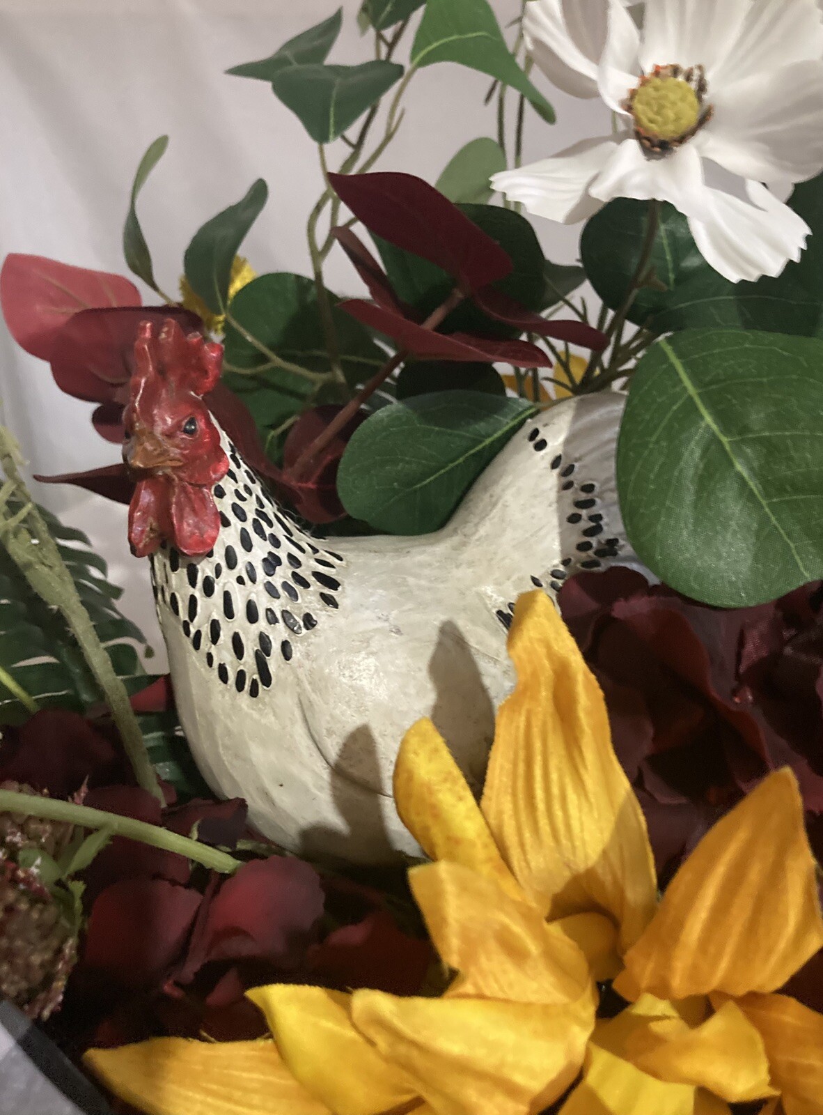 The Stately White And Red Rooster With White Cosmos And Yellow Sunflower