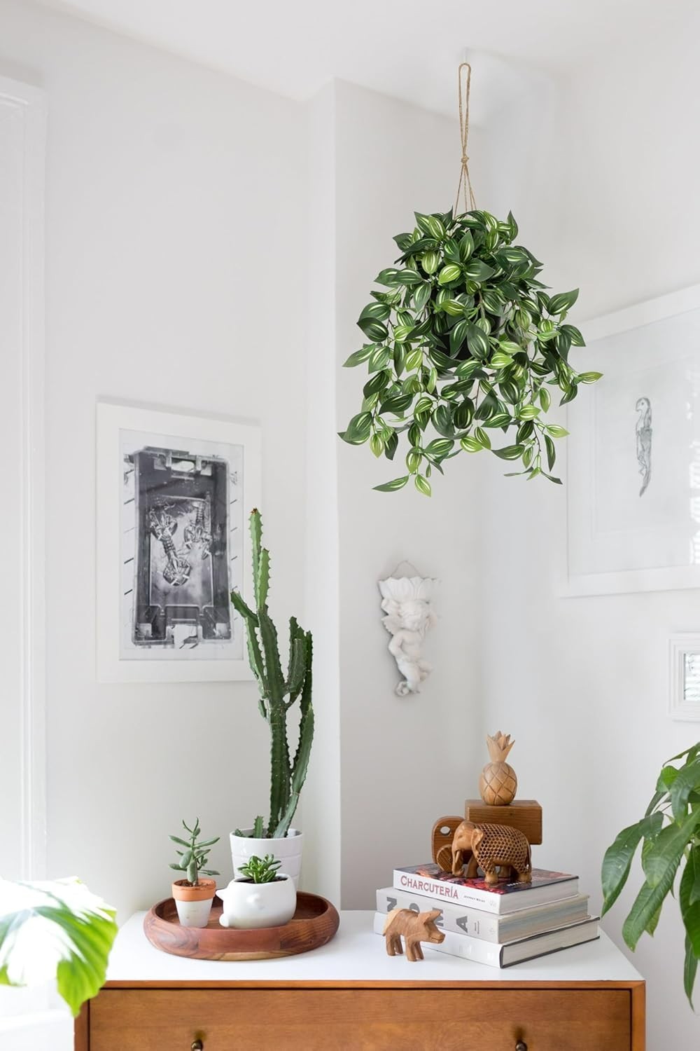 Lifelike 17.7″ Faux Watermelon Peperomia Hanging Plant in Black Pot – No Upkeep