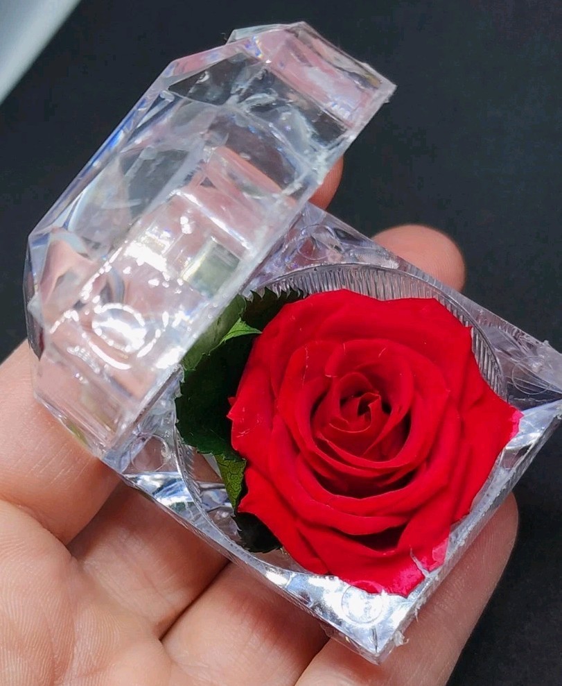 preserved Real red rose W Leaf In clear diamond shaped acrylic Ring box