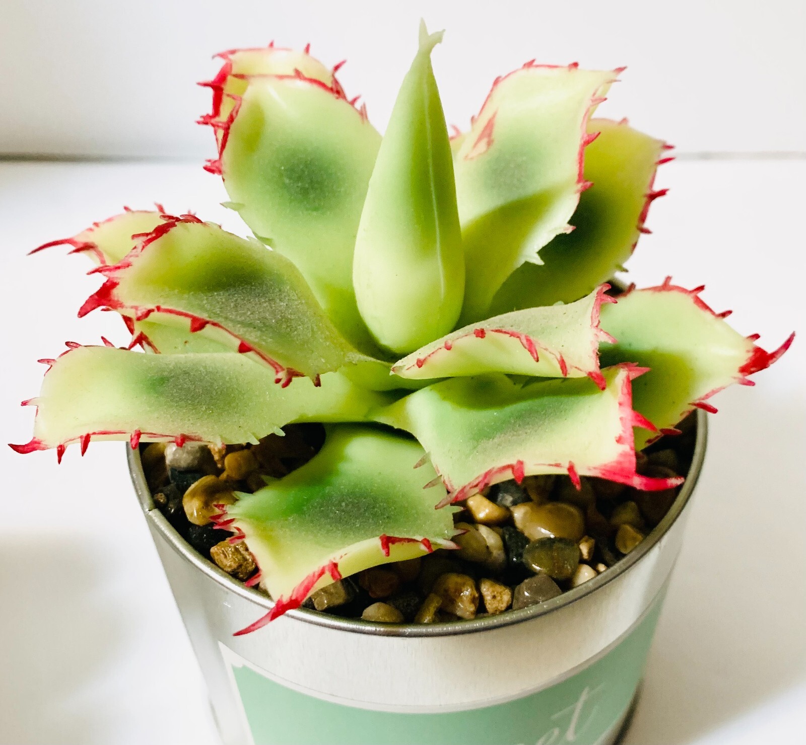 Faux Succulents in Tin Pots Set of 3 Home Sweet Home Decor New in Box