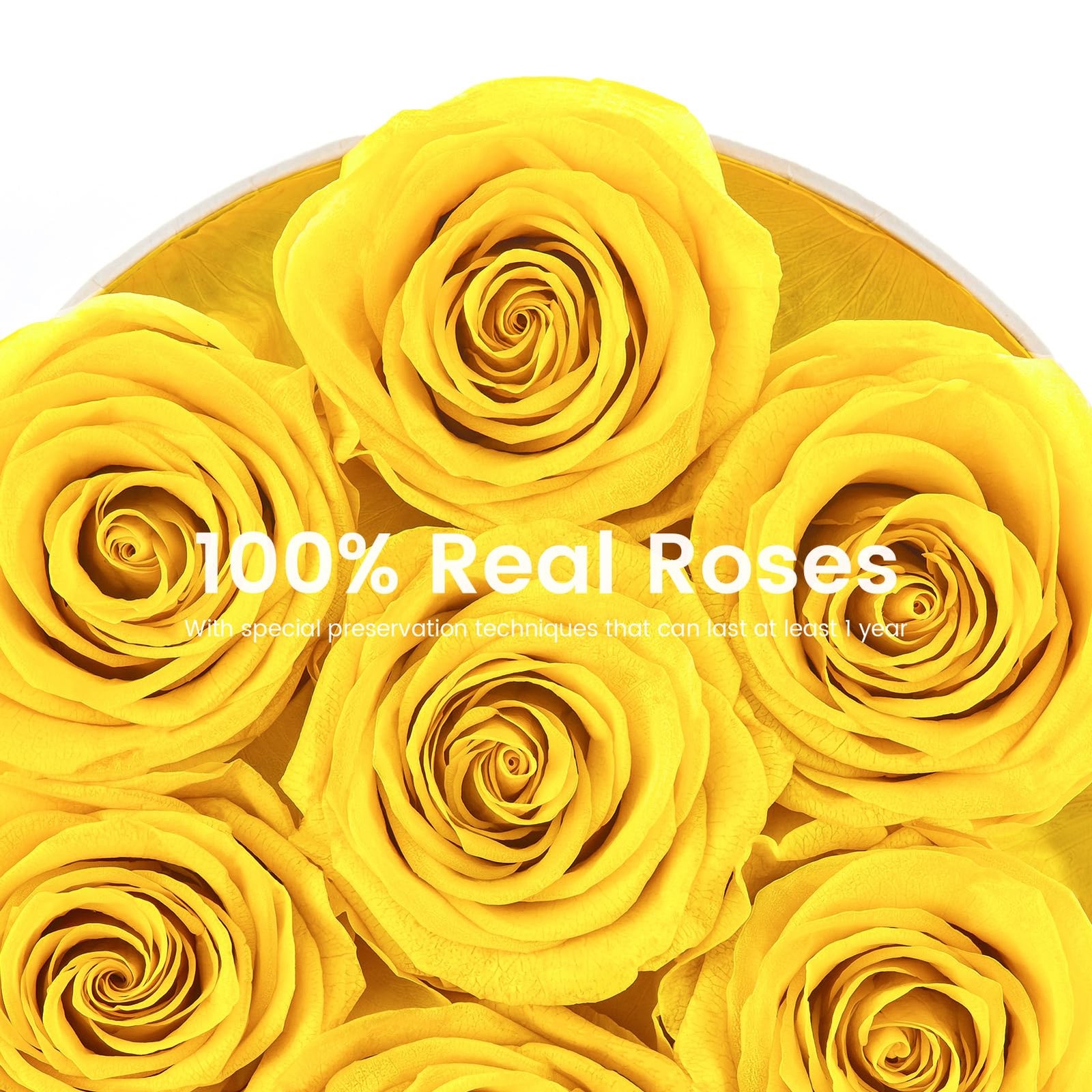 Yellow Preserved Roses in a White Box Long-Lasting Forever Flowers for Her