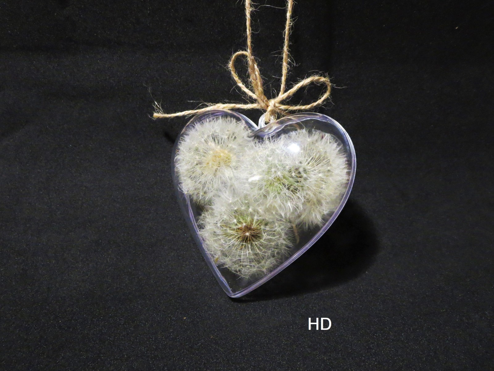 Dried Dandelion Art Dandelion Flower For Craft Dried Flowers decor Dandelions