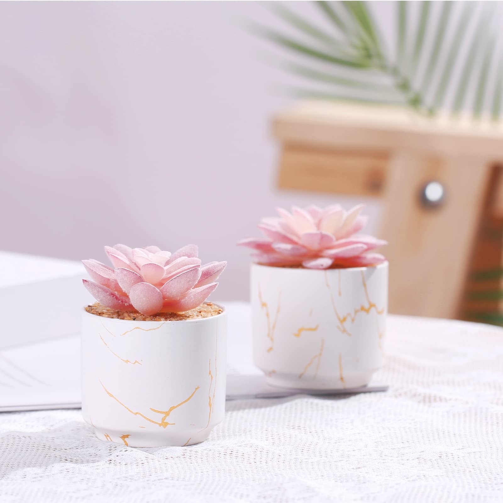 Artificial Plants and Succulents in 2 White Ceramic Pots,Small Fake Plants fo…