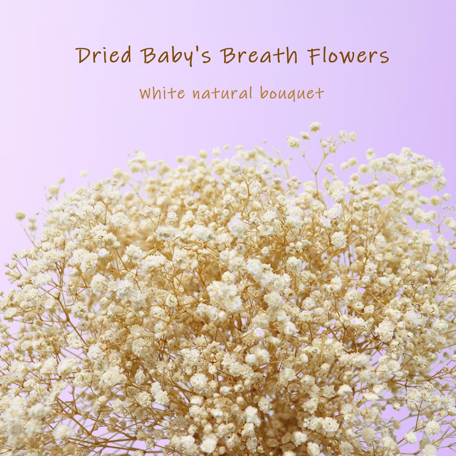 White Dried Babys Breath Flowers Bouquet Natural Gypsophila Home Decor Vase