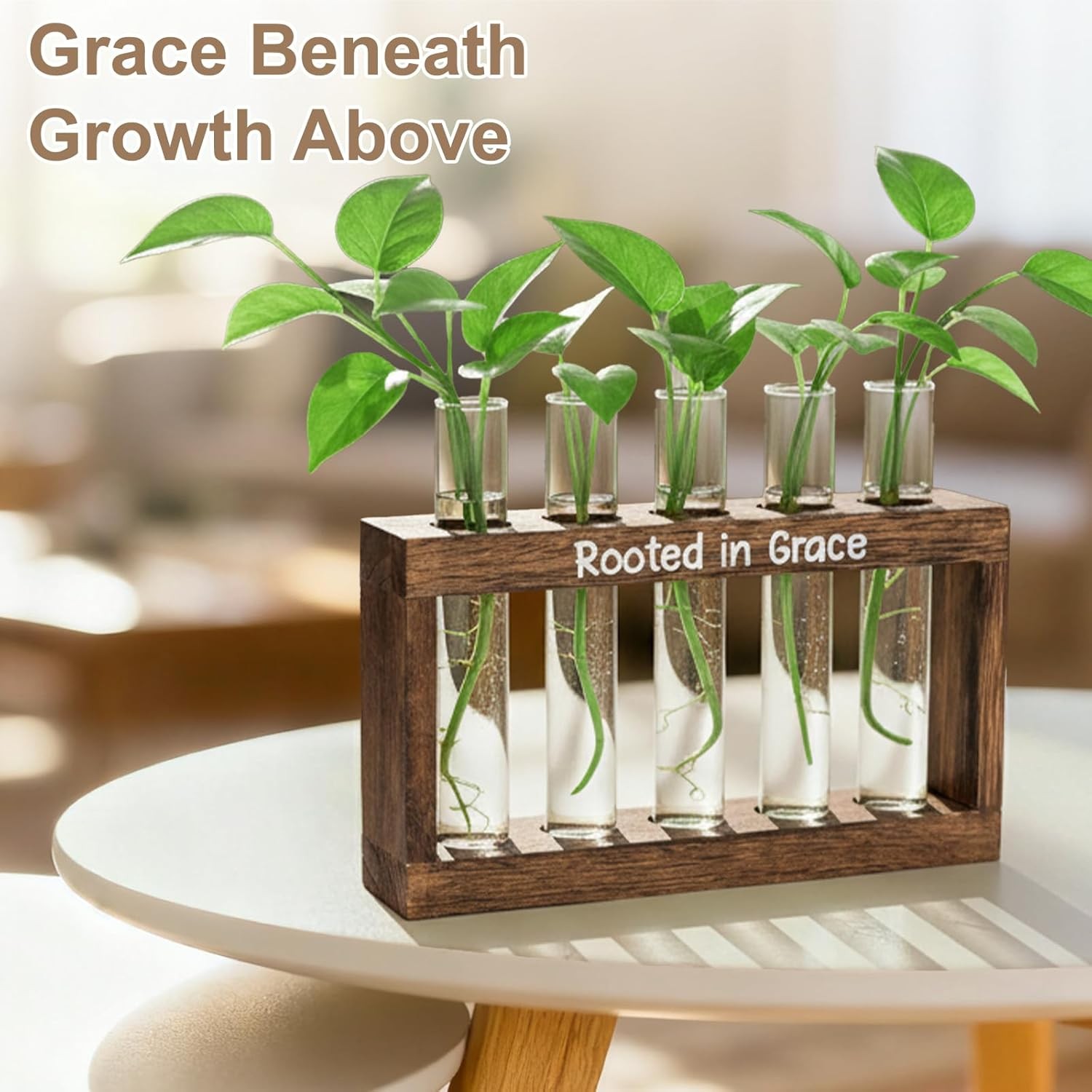 Rooted in Grace Plant Propagation Station – Wooden Stand with 5 Glass Vases, Fai