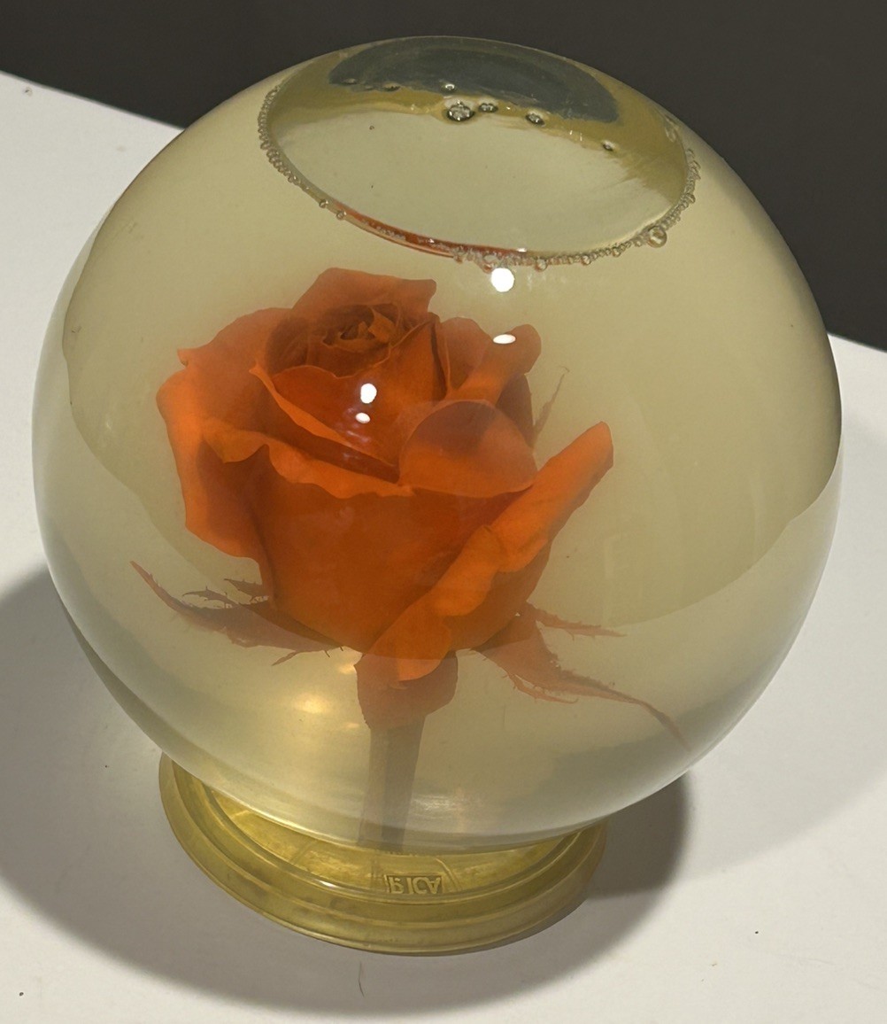 Vintage Liquid Filled Orange Rose Display Globe Preserved Flower Decor