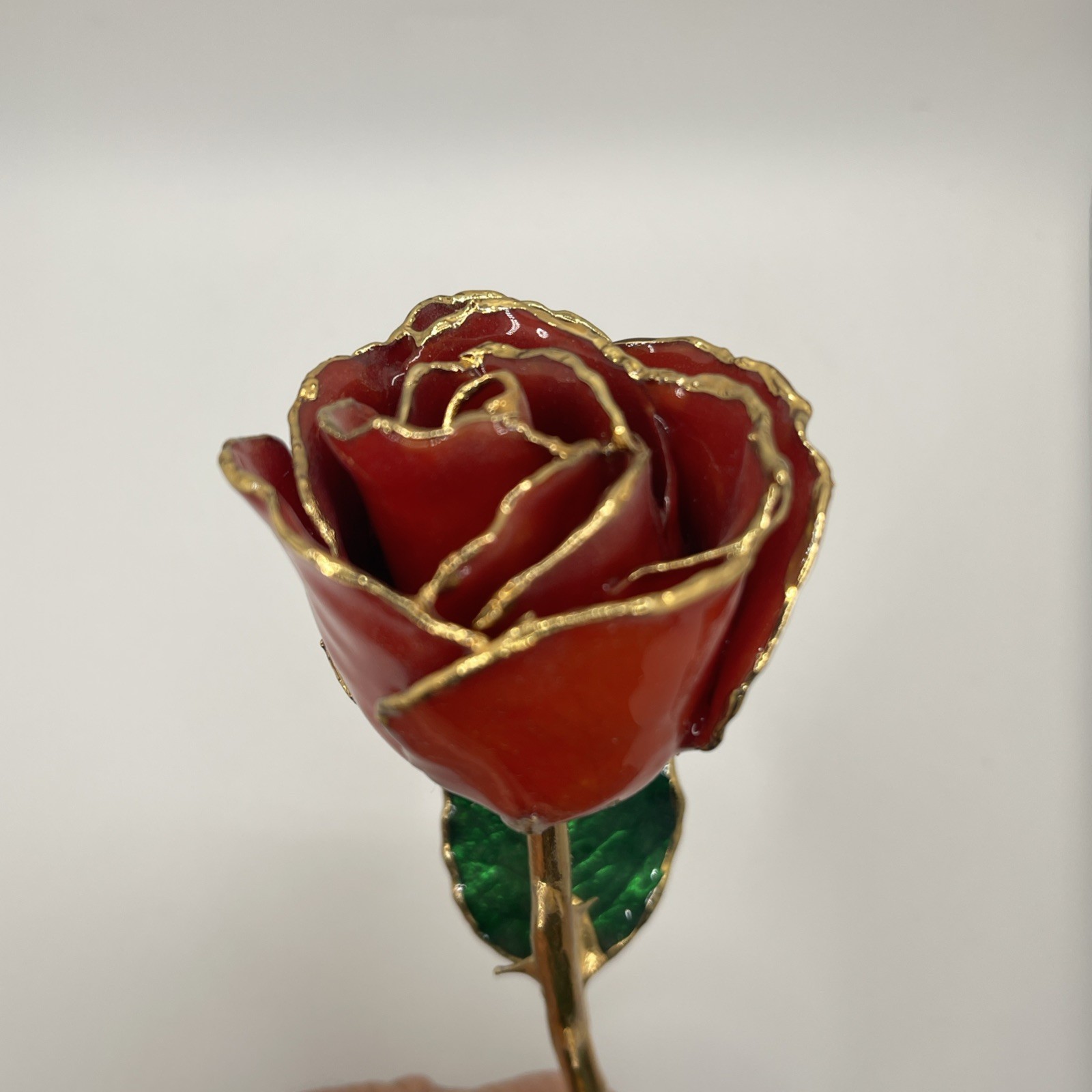 Genuine Real Rose Trimmed In 24 Kt. Gold Long Stem Rose Red Rose Green Leaves