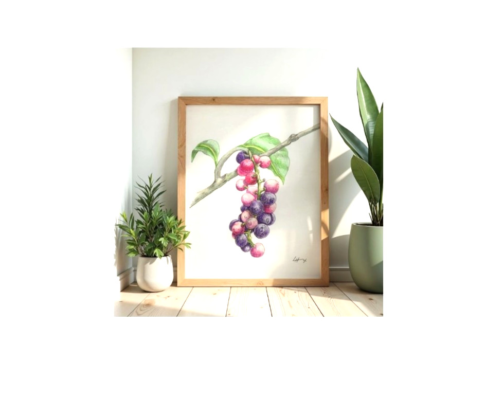 Print of a Color Pencil Drawing ‘Tassle Berry’ Unframed