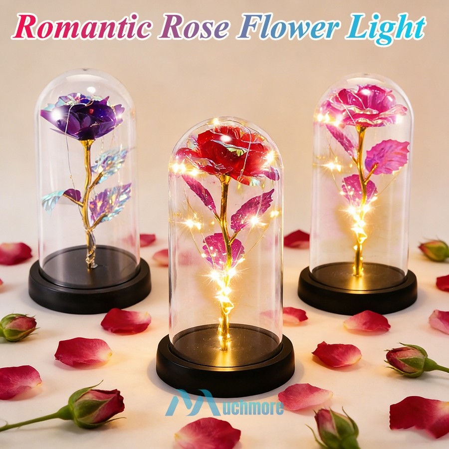 Preserved Eternal Galaxy Rose Flower In Glass Dome with LED Light Gift for Her
