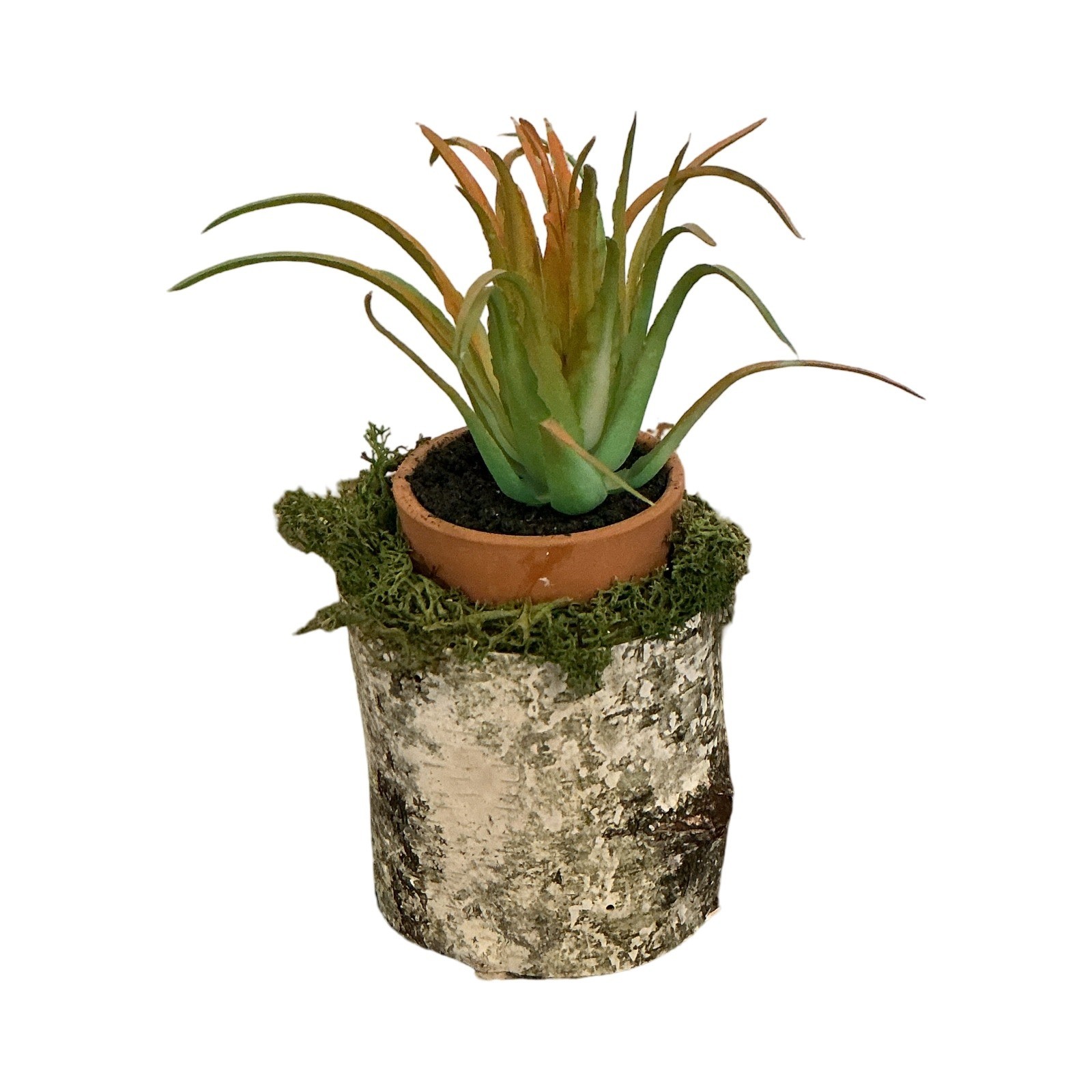 Handmade Artificial Succulent in Birch Log with Moss Rustic Woodland Home Decor